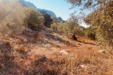 Helårsgrund i Comares, Malaga, Comares - € 25.000 | Ref: ID3898 - foto 3